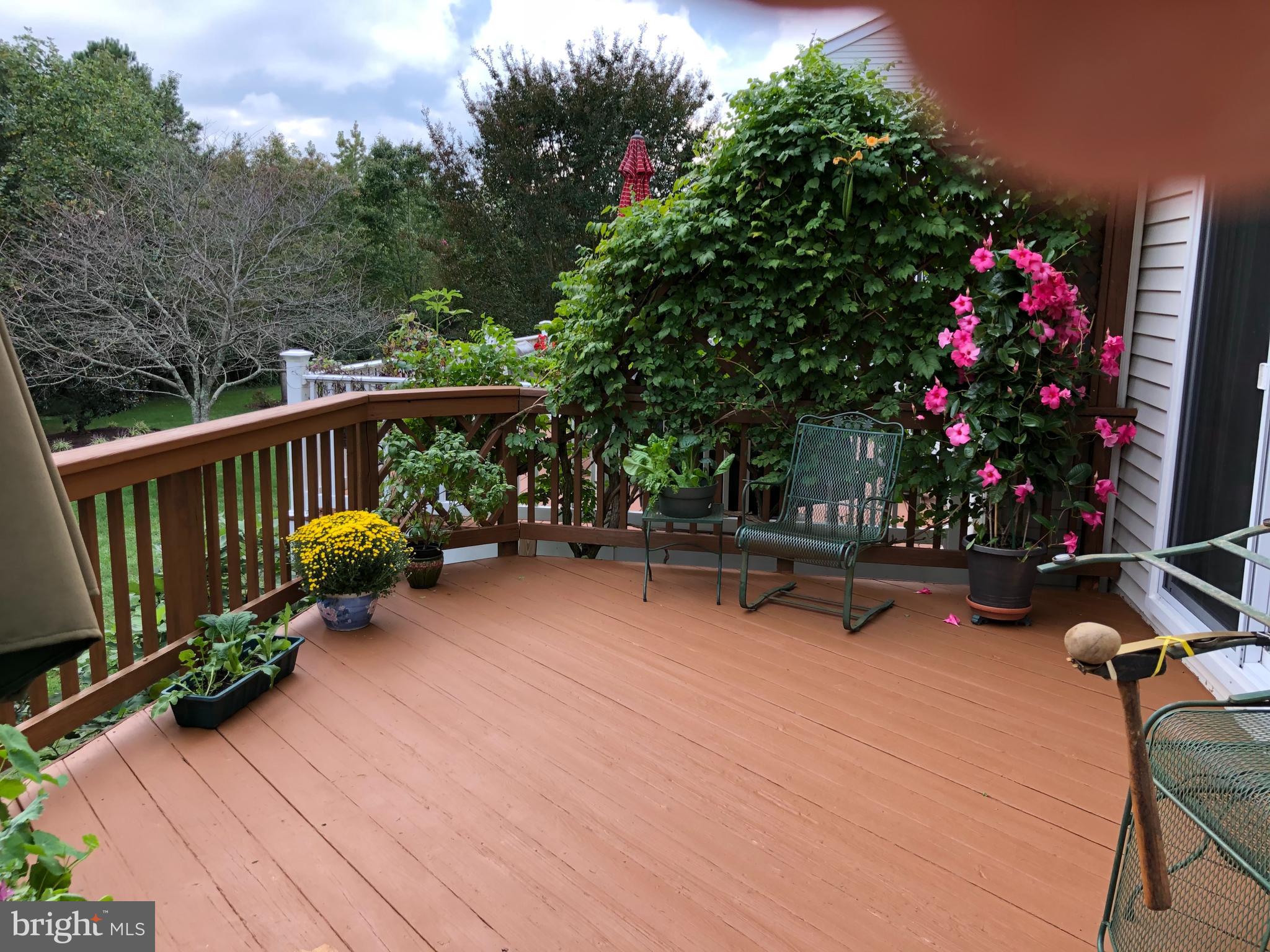1365 Escapade Court Riva, MD 21140 - Photo 5 of 57 Freshly painted deck with live foliage privacy