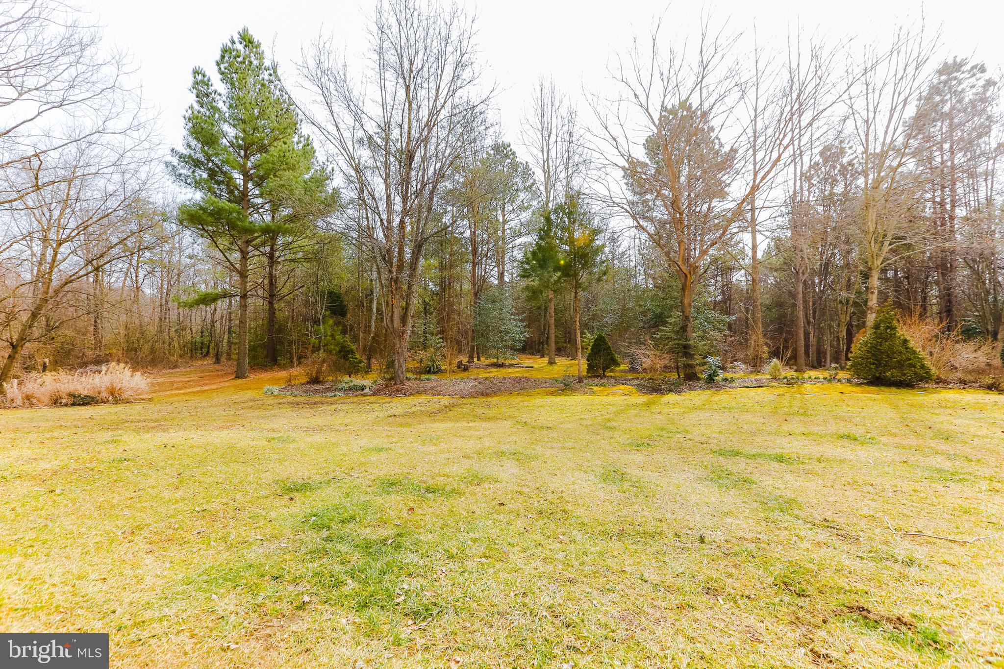 1365 Escapade Court Riva, MD 21140 - Photo 43 of 57 Peaceful rear yard view
