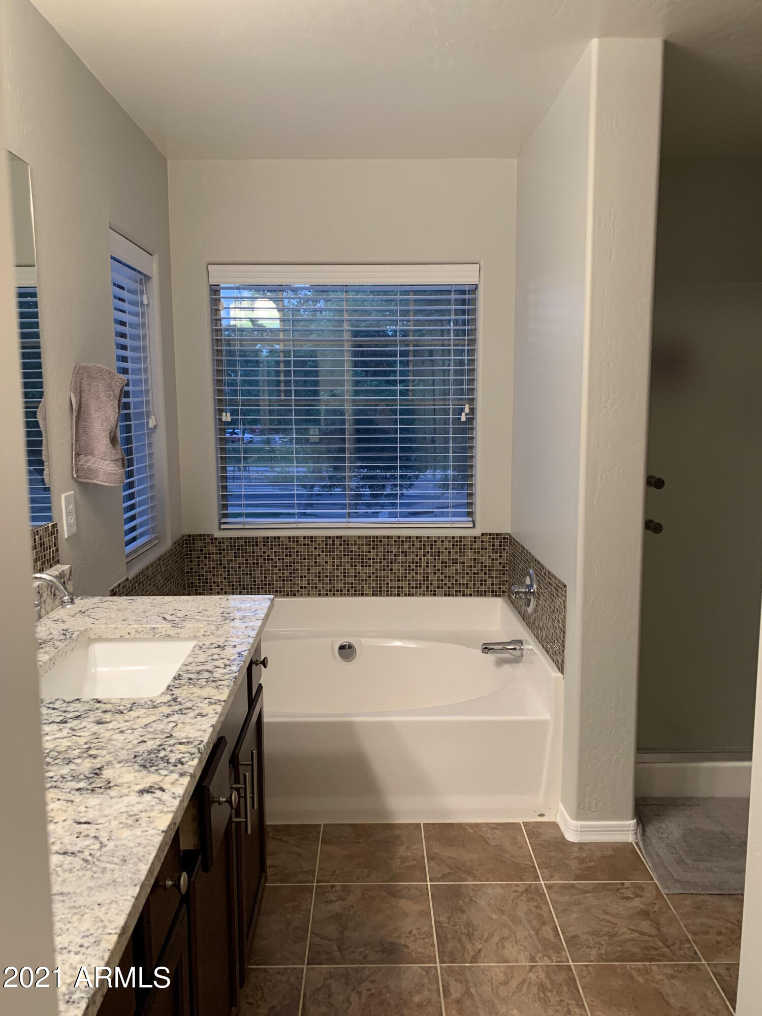 3917 South Rim Road Gilbert, AZ 85297 - Photo 5 of 12 Master Bath
