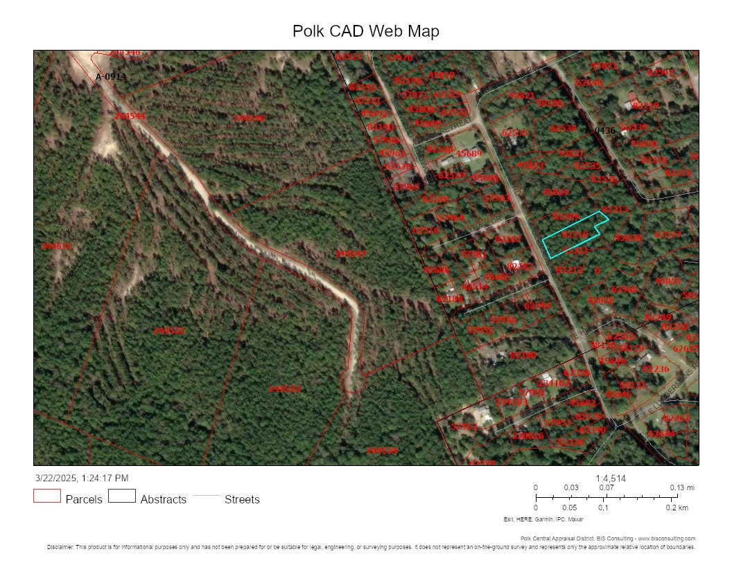 Lot 307 Lumbermans Road Onalaska, TX 77360 - Photo 2 of 10 Lot 307