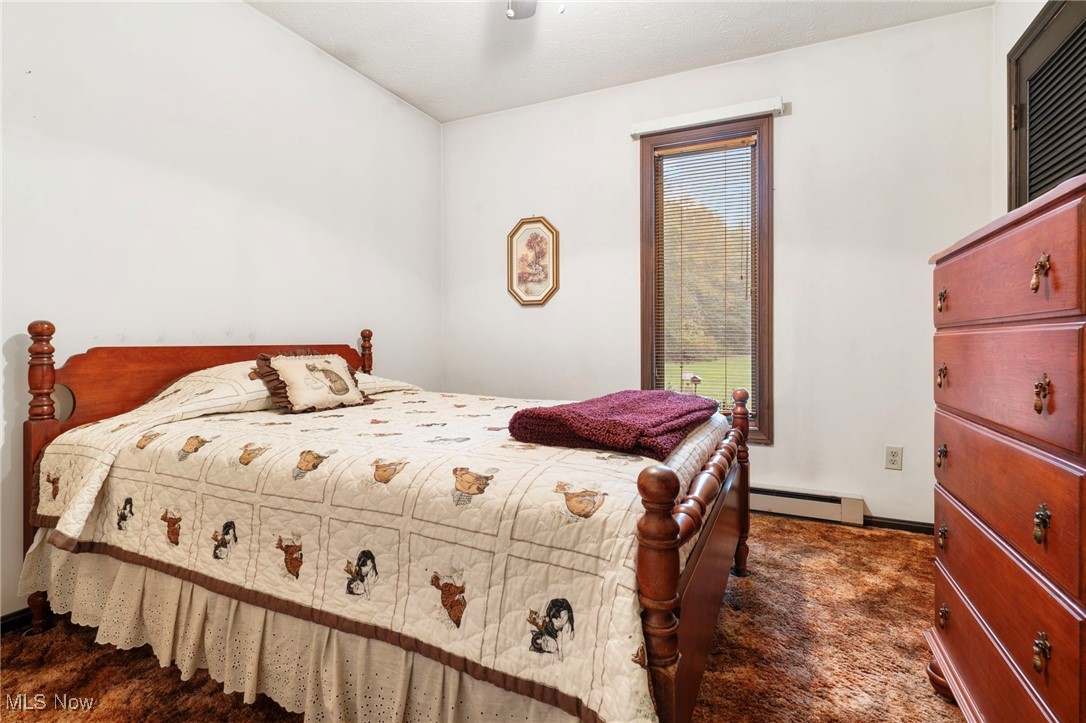 3417 Biltz Road Kent, OH 44240 - Photo 19 of 38 Bedroom featuring dark colored carpet, ceiling fan, and baseboard heating