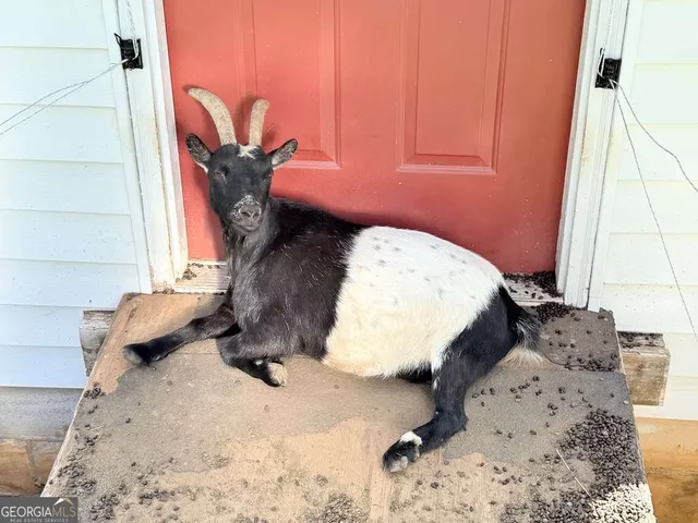 $665,000 | 10809 Beaver Dam Road, Murphy, NC 28906