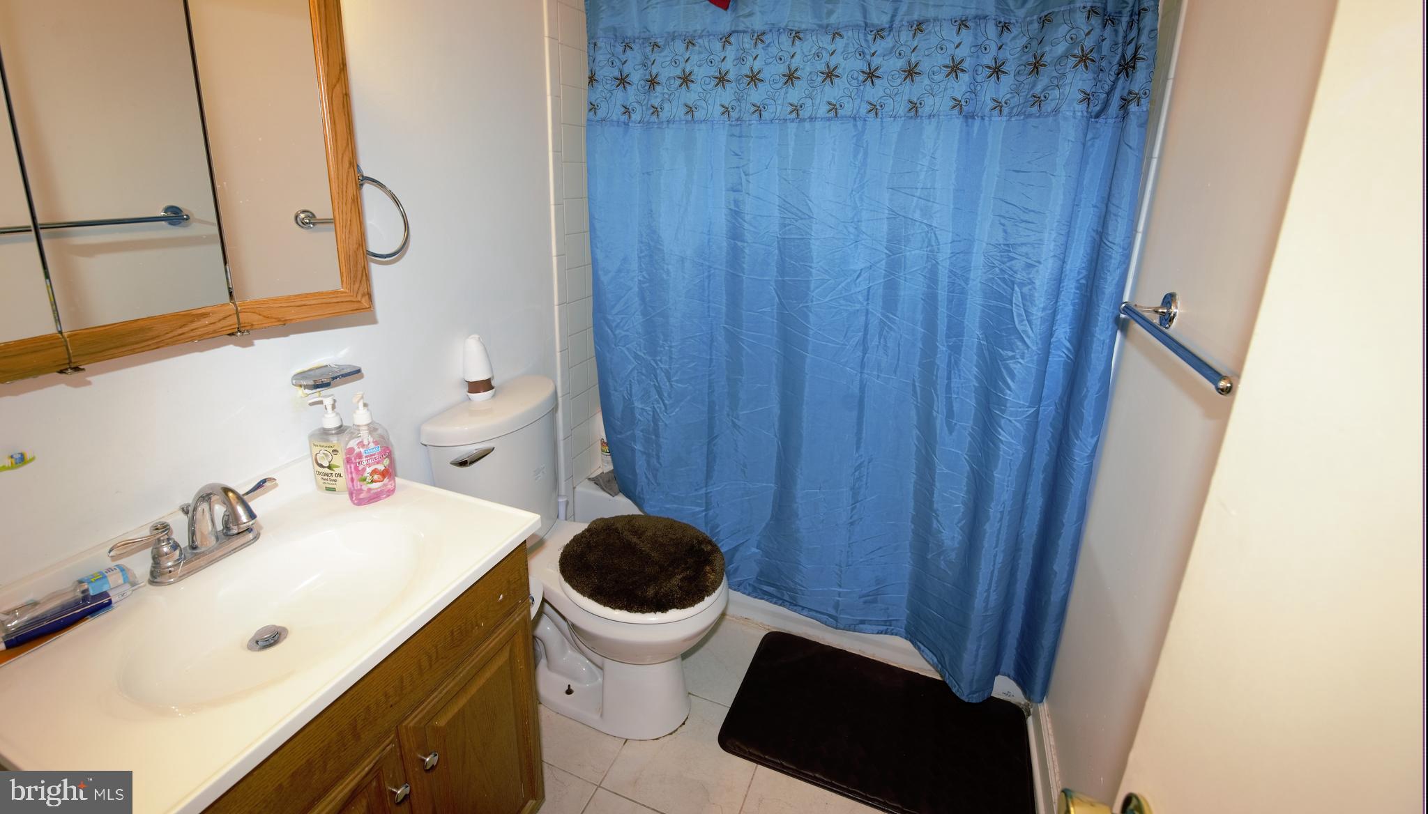 3079 Harper Road Federalsburg, MD 21632 - Photo 15 of 20 bathroom 2