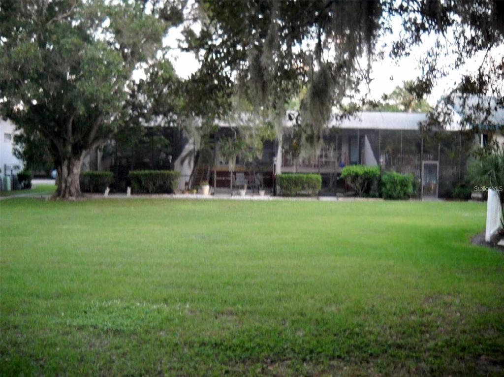 323 Bobby Jones Road, Unit 323 Sarasota, FL 34232 - Photo 10 of 10 a view of a tree in a yard