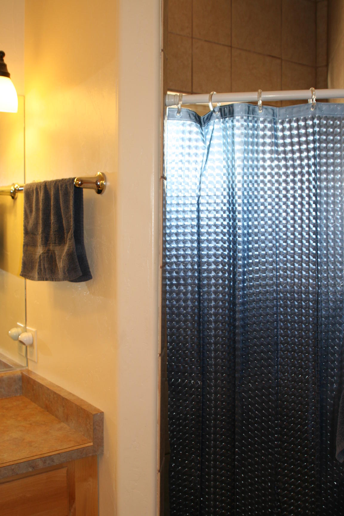 407 Kismet Street, Unit NO # Ridgway, CO 81432 - Photo 15 of 34 IMG_4188