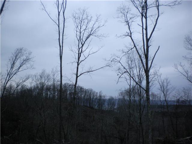 4000 Dry Ck Road Waverly, TN 37185 - Photo 3 of 6 Gallery Image 3