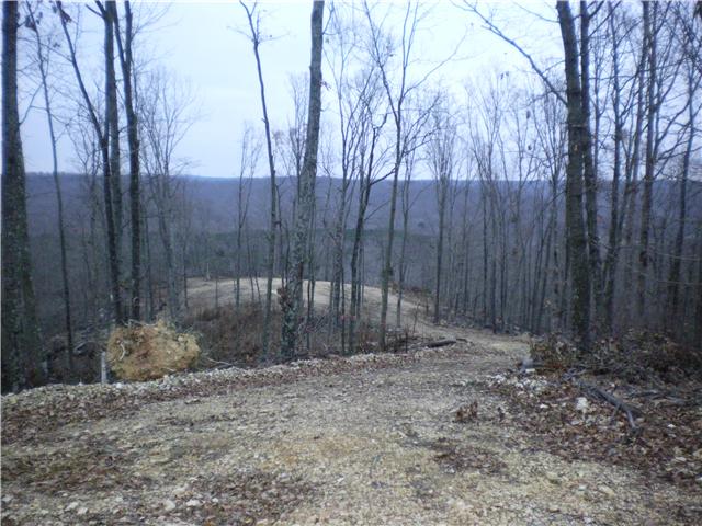 4000 Dry Ck Road Waverly, TN 37185 - Photo 4 of 6 Gallery Image 4