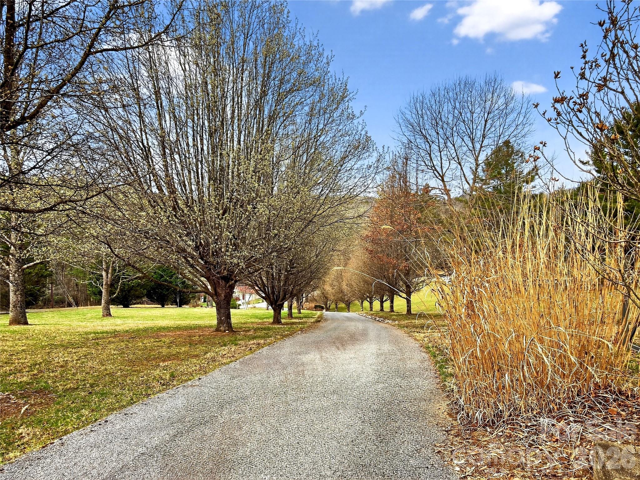3275 Hanging Rock Road Spruce Pine, NC 28777 - Photo 44 of 48 a view of outdoor space with garden