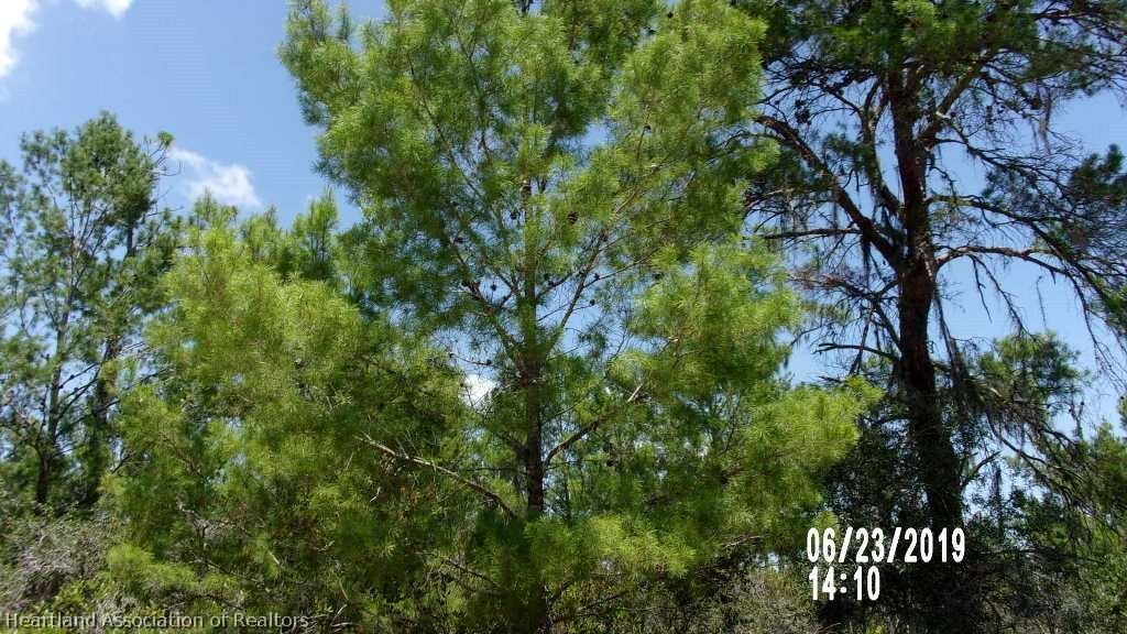 5812 Quince Road Sebring, FL 33875 - Photo 8 of 10 Gallery Image 8