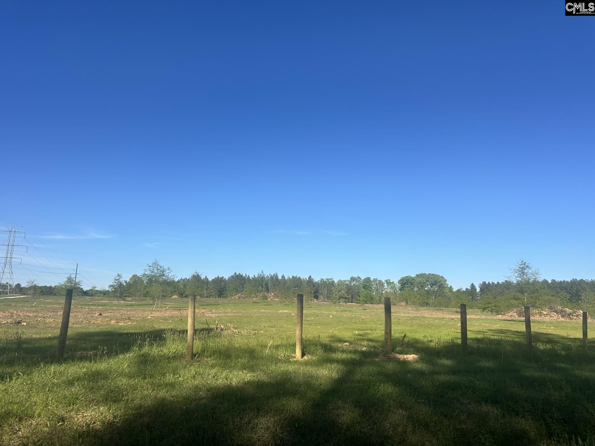 0 Livingston Road Pomaria, SC 29126 - Photo 3 of 6