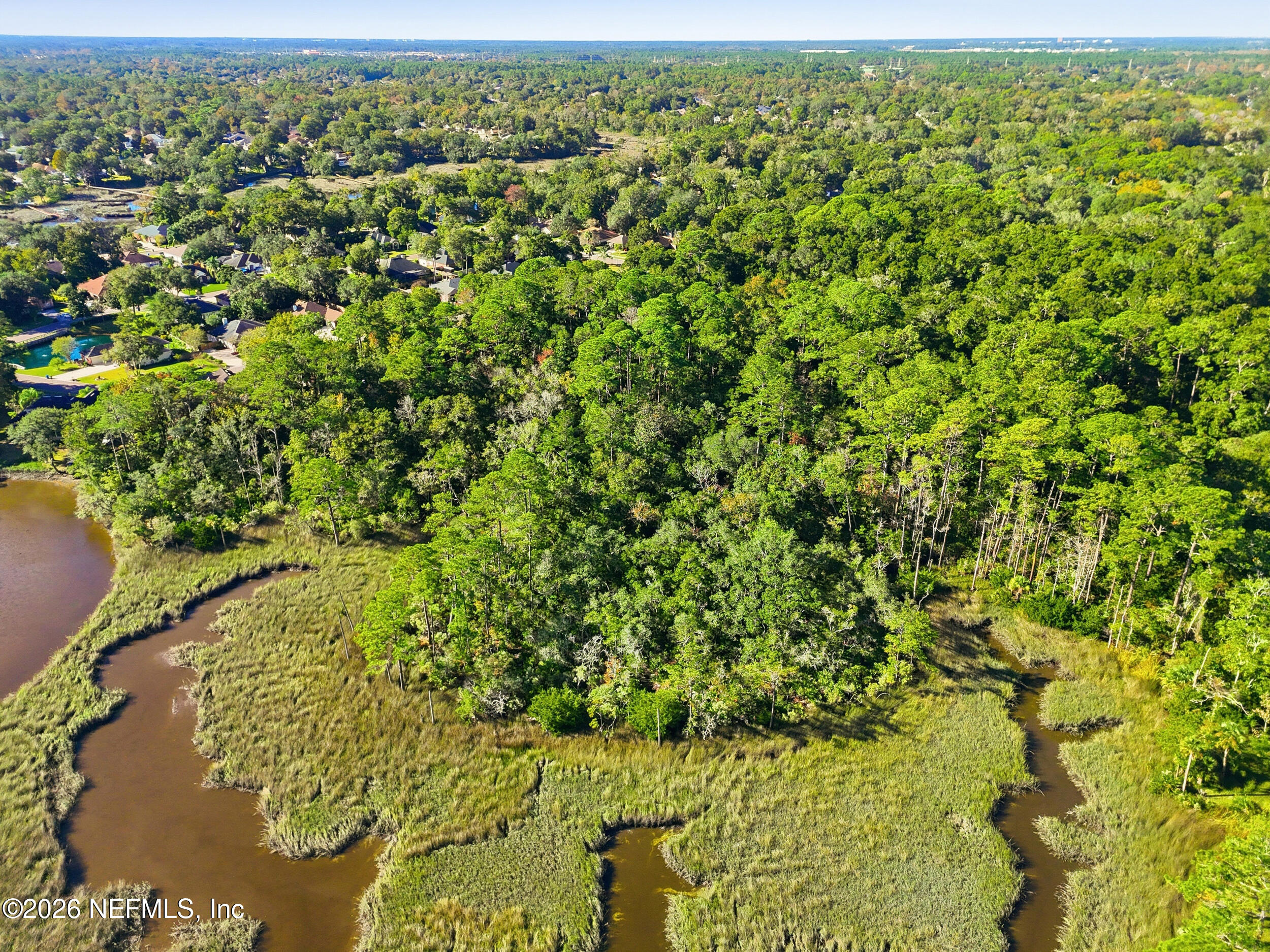 3 Caroline Ridge Lane East Jacksonville, FL 32225 - Photo 8 of 23 a view of a yard with a tree