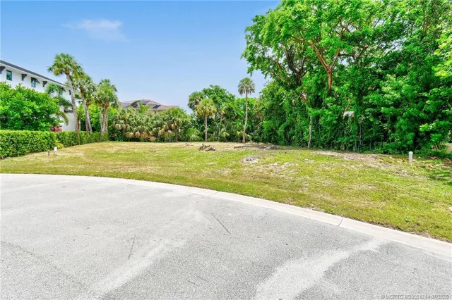 a view of a big yard with large trees