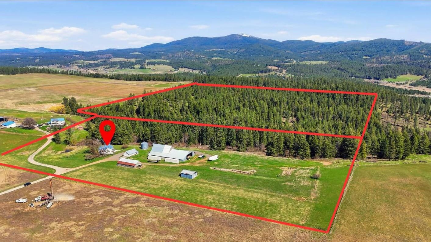 24416 North Orchard Bluff Road Chattaroy, WA 99003 - Photo 38 of 50