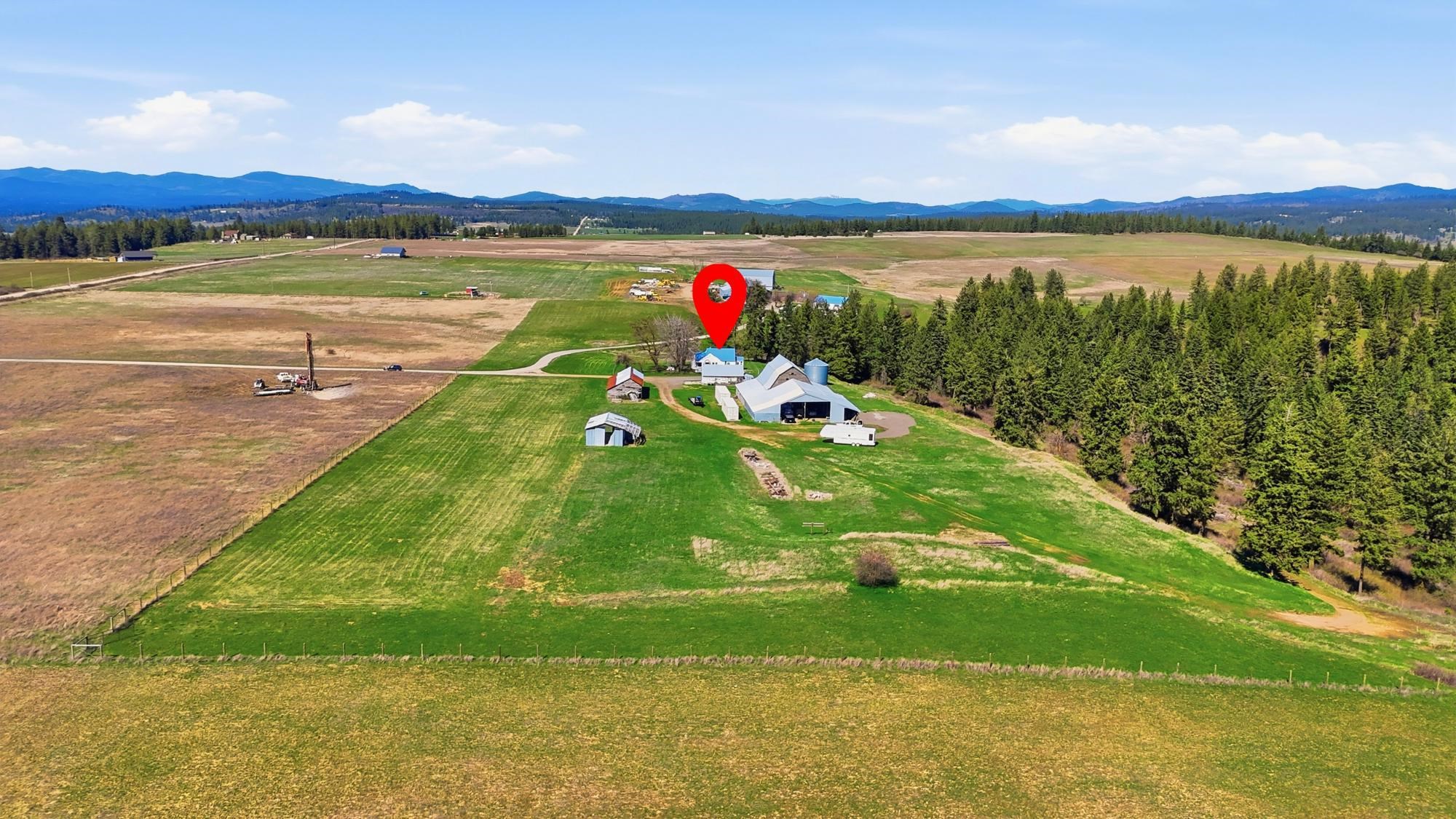 24416 North Orchard Bluff Road Chattaroy, WA 99003 - Photo 41 of 50