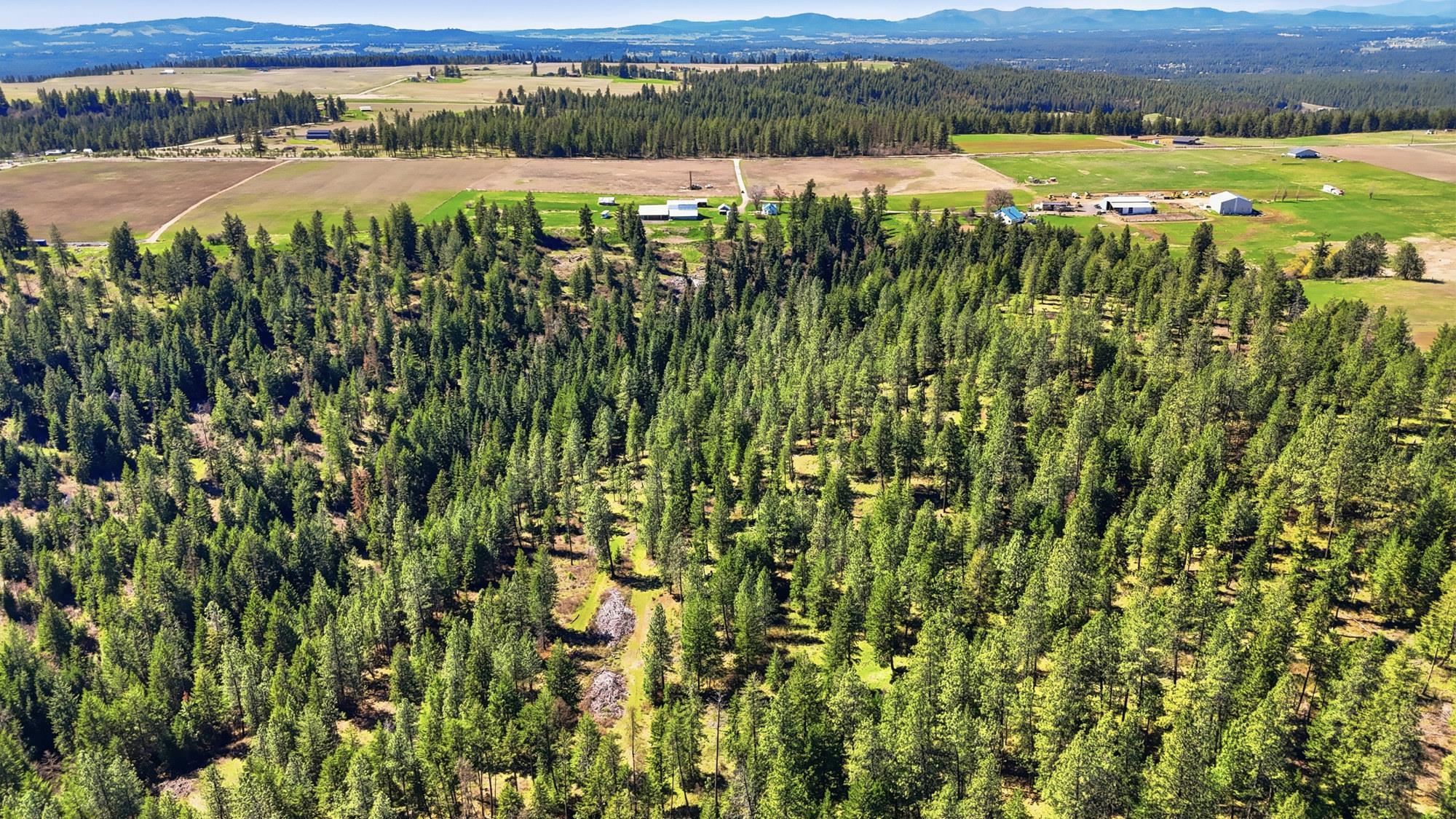 24416 North Orchard Bluff Road Chattaroy, WA 99003 - Photo 43 of 50