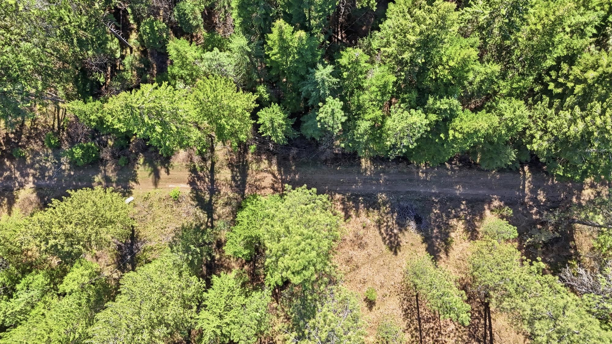 24416 North Orchard Bluff Road Chattaroy, WA 99003 - Photo 44 of 50