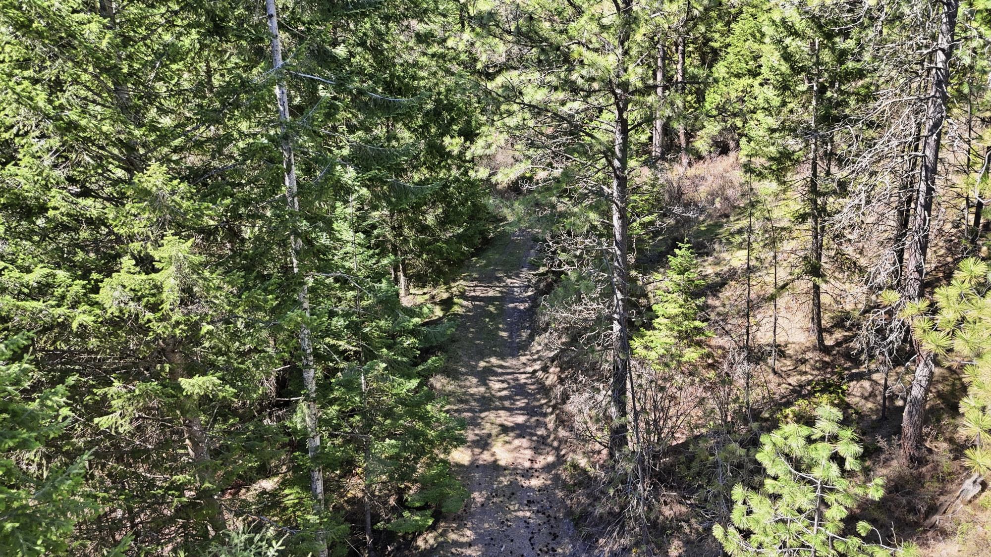 24416 North Orchard Bluff Road Chattaroy, WA 99003 - Photo 45 of 50