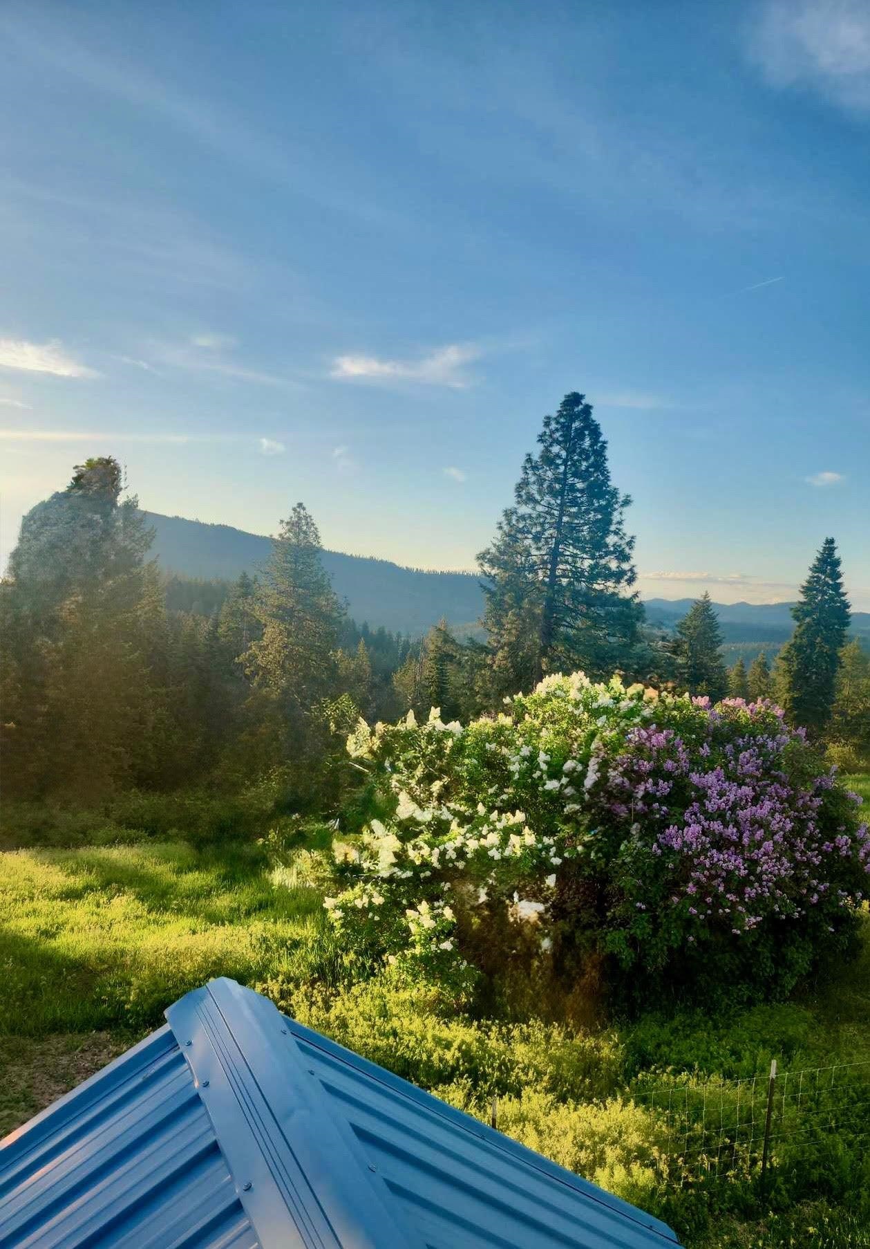 24416 North Orchard Bluff Road Chattaroy, WA 99003 - Photo 46 of 50