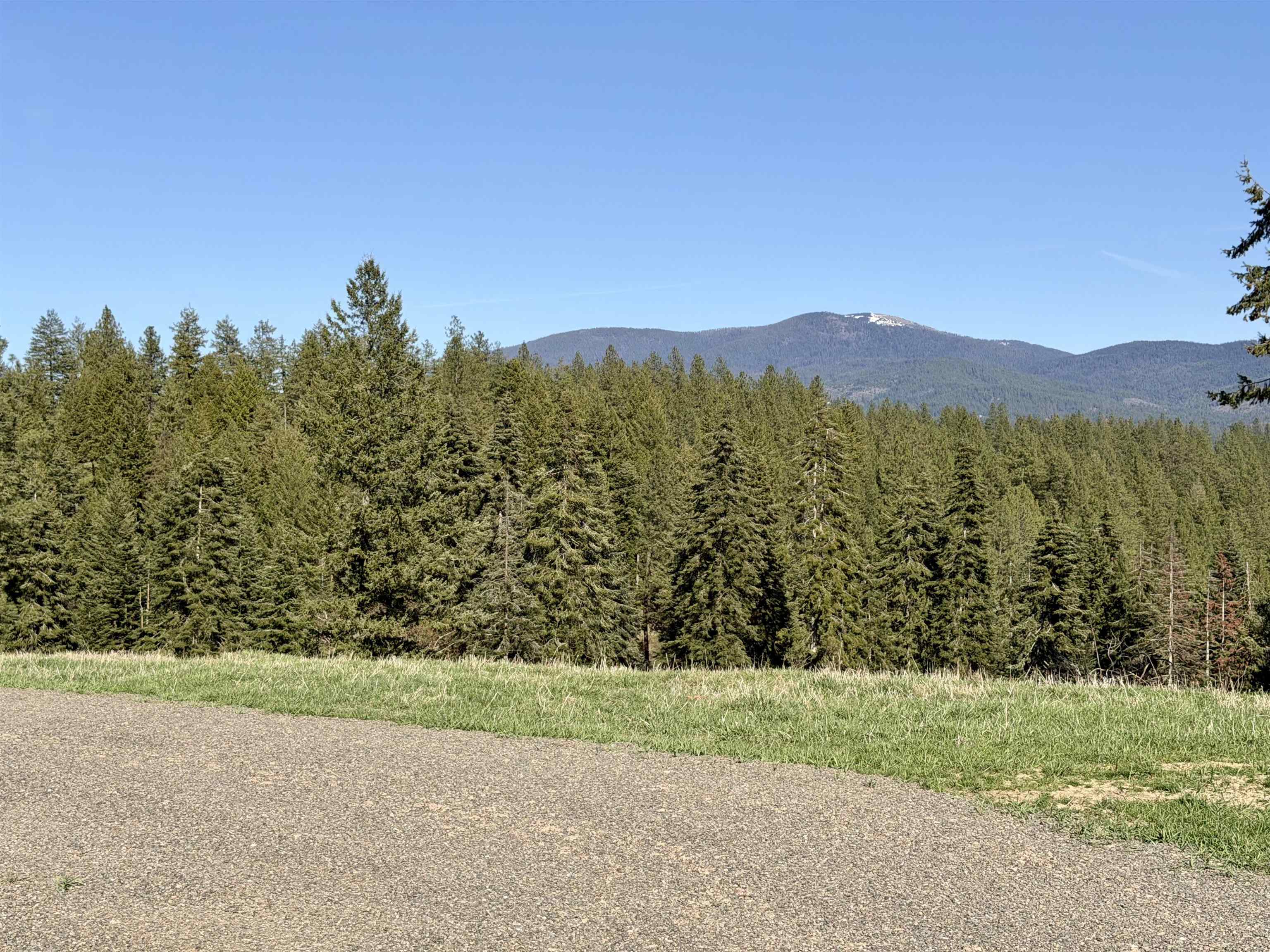 24416 North Orchard Bluff Road Chattaroy, WA 99003 - Photo 48 of 50