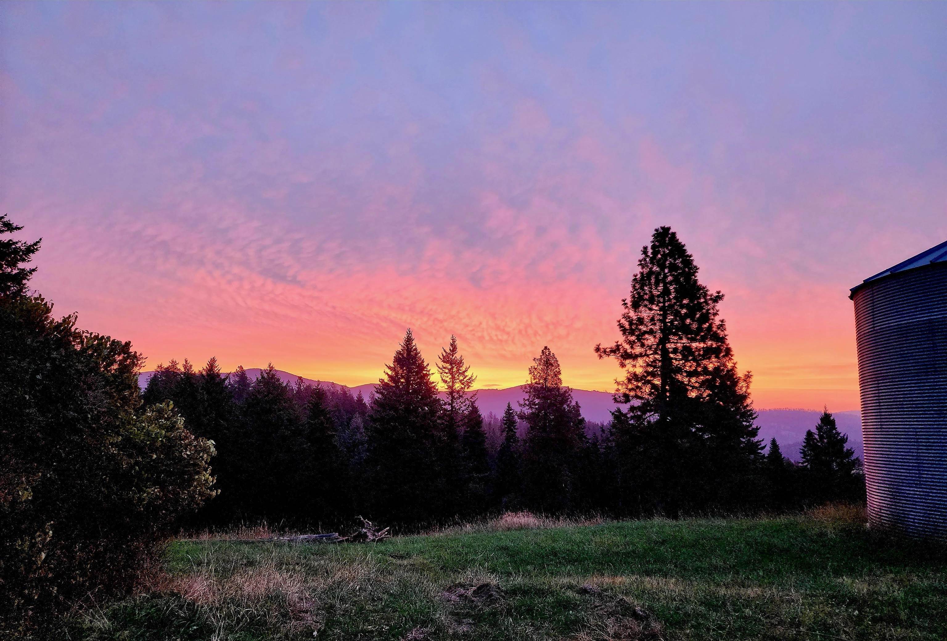 24416 North Orchard Bluff Road Chattaroy, WA 99003 - Photo 50 of 50