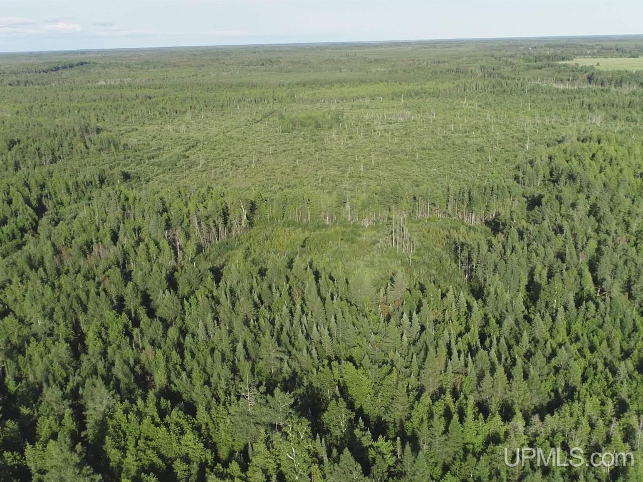 E 80-acres River Road Gulliver, MI 49840 - Photo 6 of 20