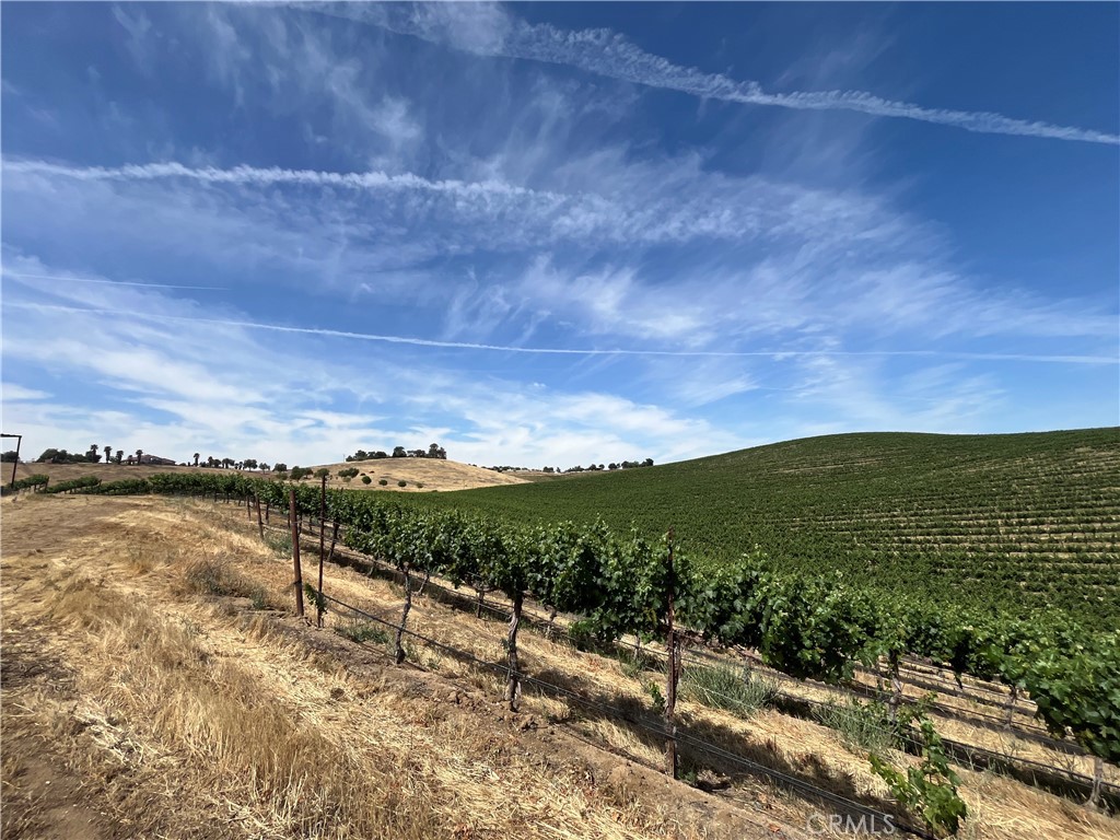 1375 Grana Place Paso Robles, CA 93446 - Photo 26 of 42 14 acre Vineyard Estate with lease