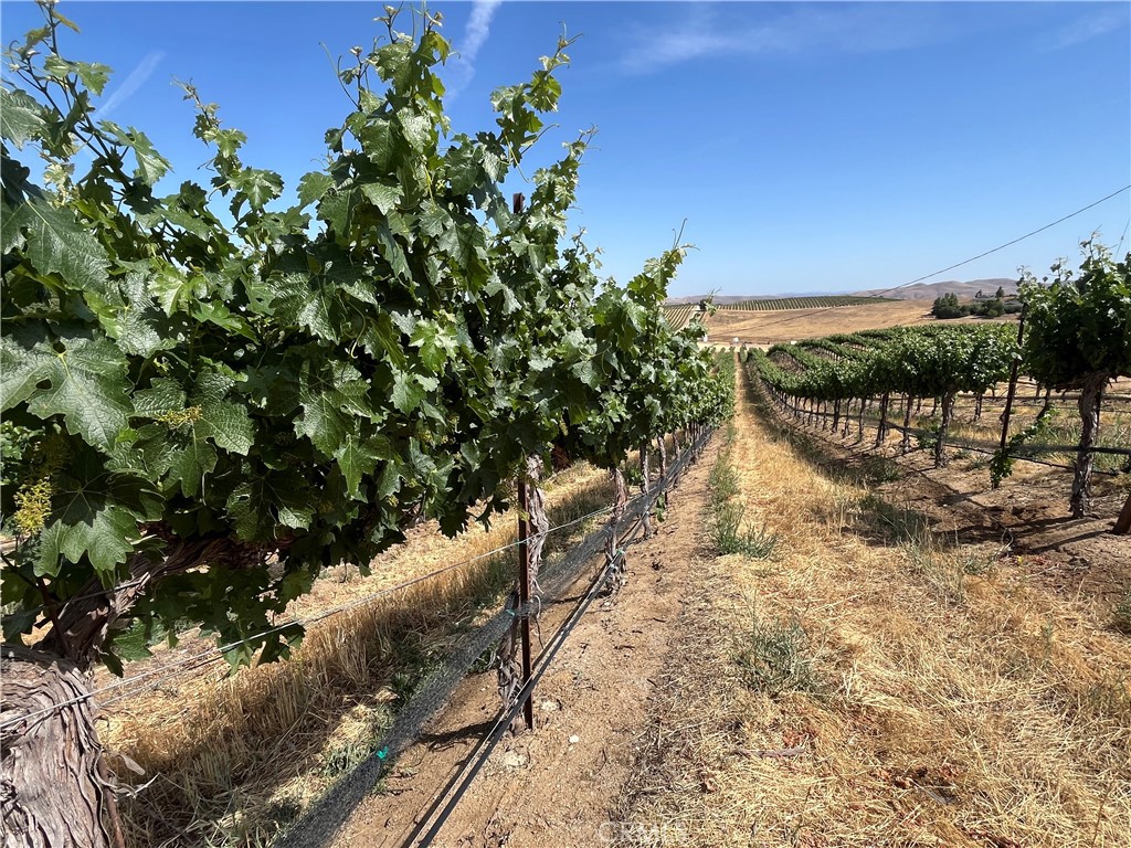 1375 Grana Place Paso Robles, CA 93446 - Photo 28 of 42