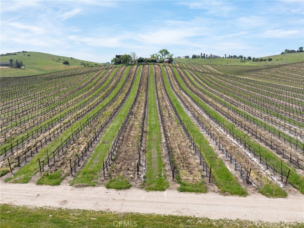 1375 Grana Place Paso Robles, CA 93446 - Photo 29 of 42