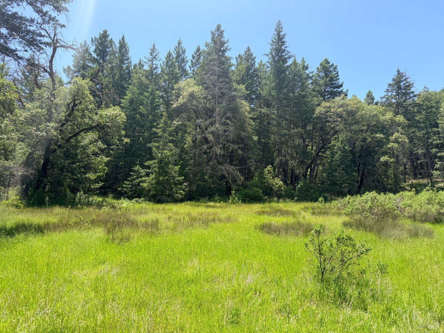 0 Registered Guest Road Laytonville, CA 95454 - Photo 4 of 18