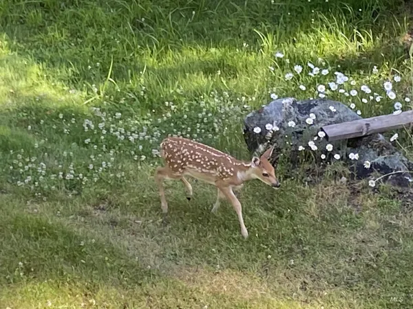 $525,000 | 24 Castle Meadow Drive, Garden Valley, ID 83622