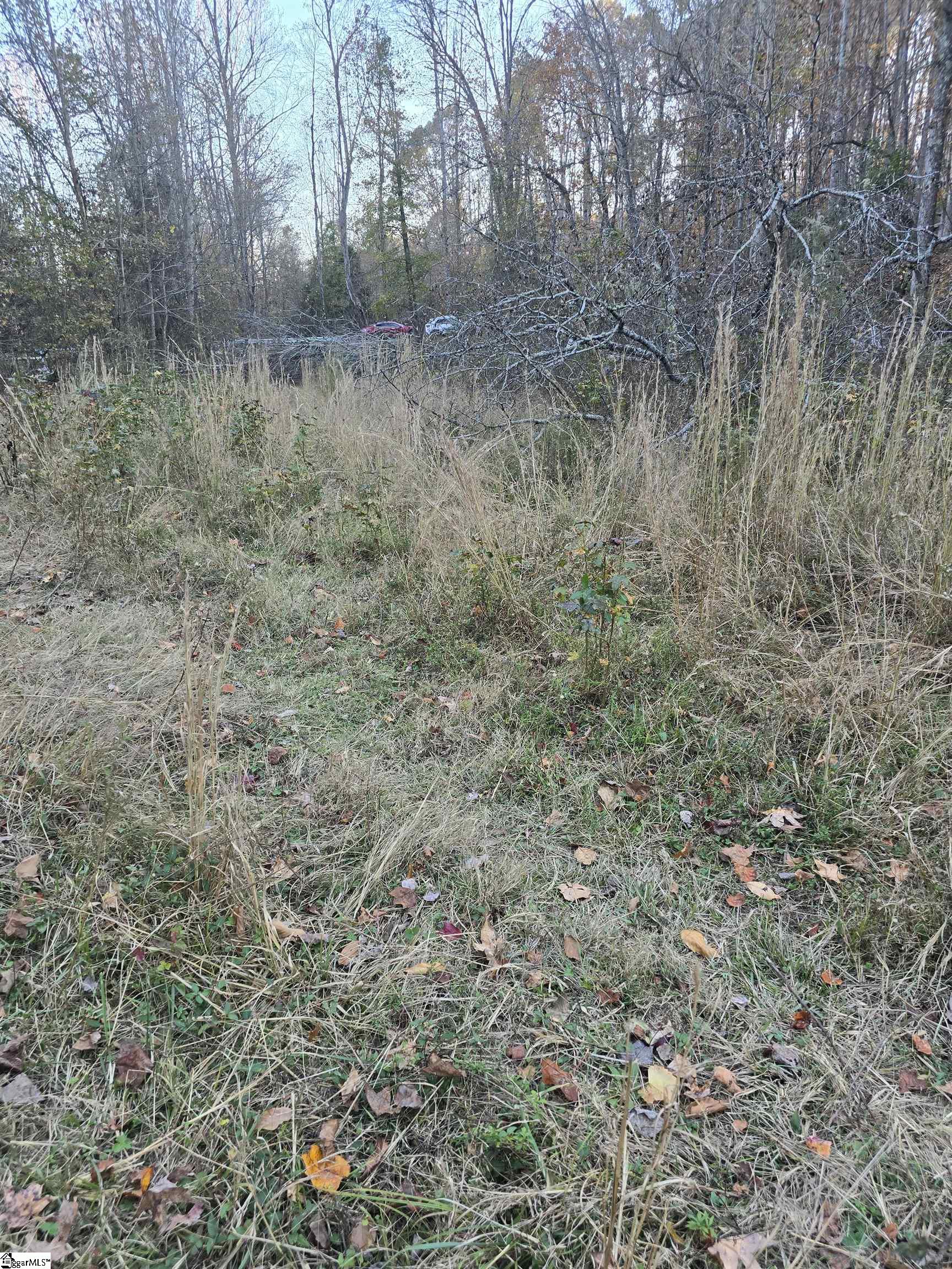 0 Graham Chapel Road Cowpens, SC 29330 - Photo 2 of 3