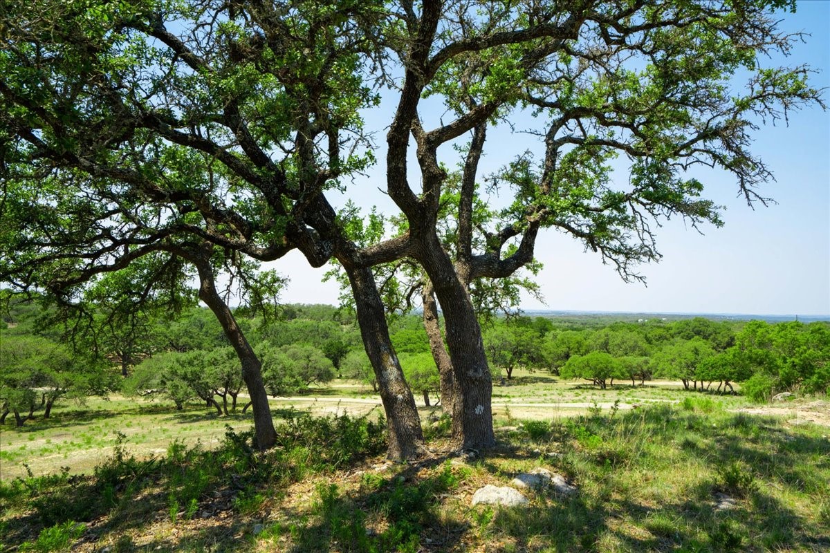 101 Mystic Overlook Road Dripping Springs, TX 78620 - Photo 19 of 27