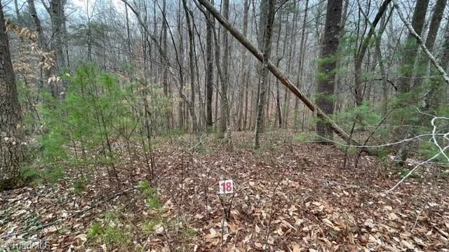$19,999 | Lot 18 Woods Haven Lane, Stuart, VA 24171