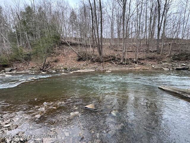 Mattocks Road Meshoppen, PA 18630 - Photo 15 of 24 a view of water covered with trees