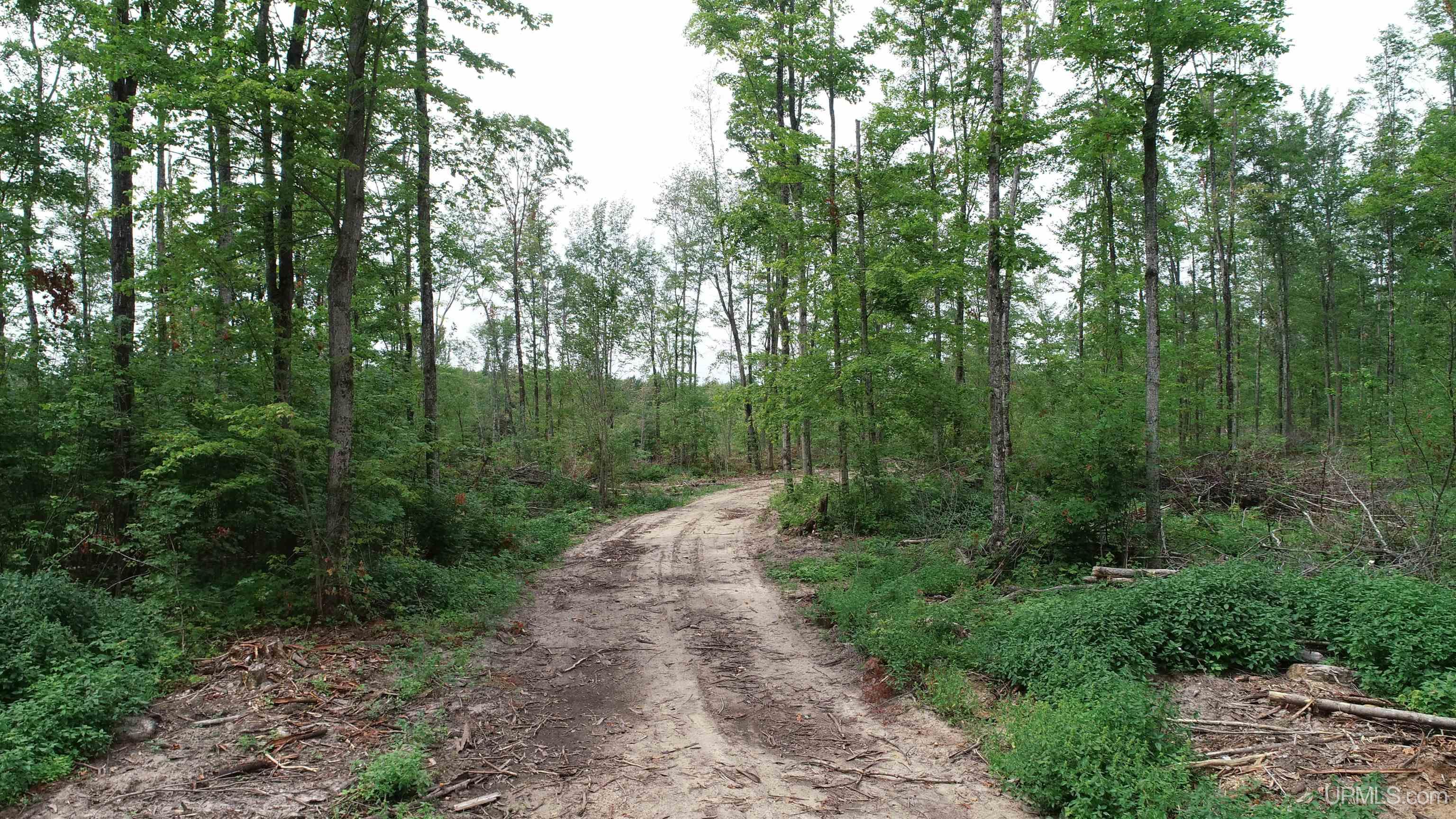 23 Camp 23 Road, Unit NORTH PARCEL Germfask, MI 49836 - Photo 4 of 10