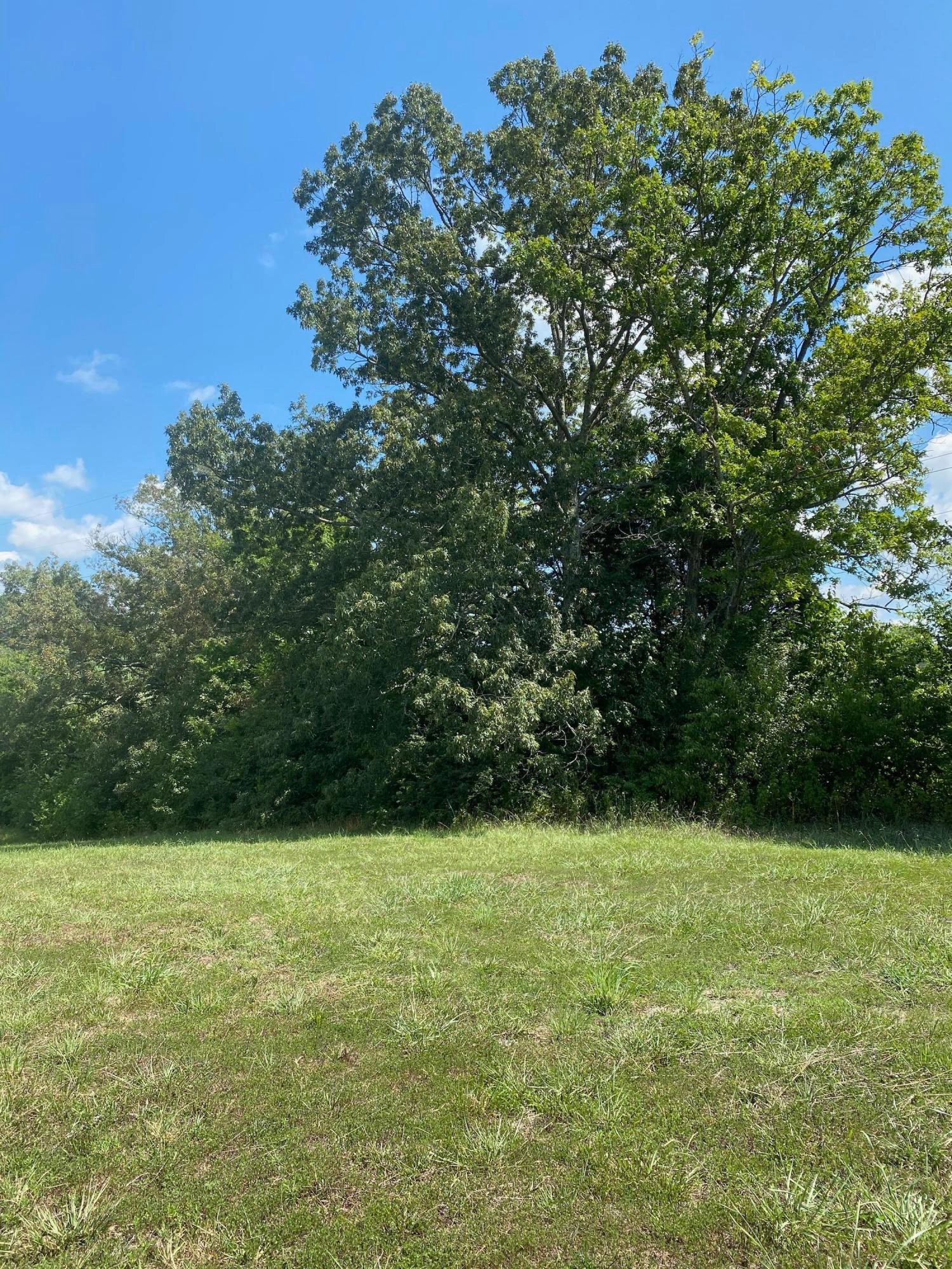 0 Dunlap Road Knoxville, TN 37914 - Photo 6 of 11 Gallery Image 6