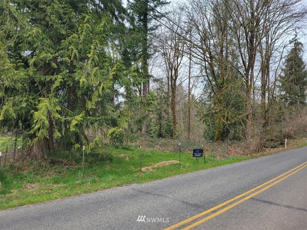 0 Chappel Road Arlington, WA 98223 - Photo 1 of 3 a green field with lots of trees in it