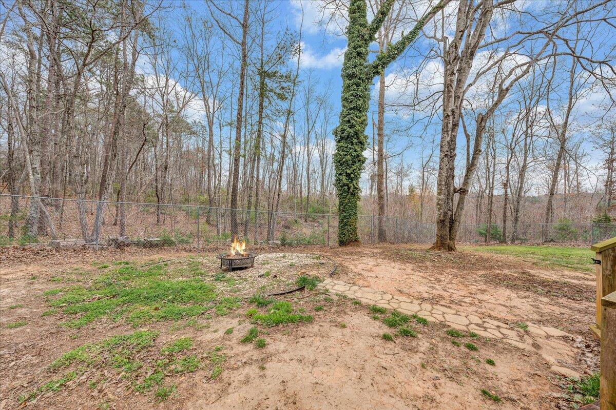 2800 Old Ferrum Road Ferrum, VA 24088 - Photo 49 of 58 a backyard of a house with lots of green space