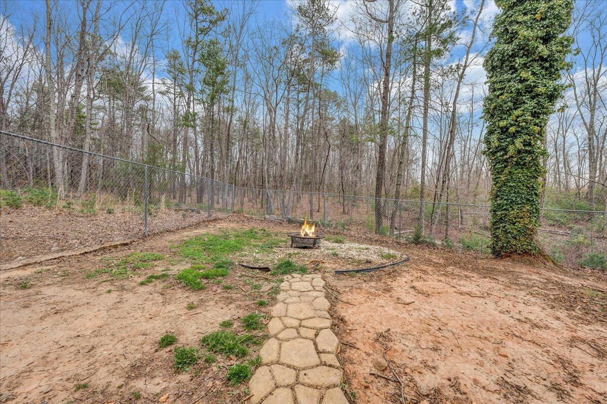 2800 Old Ferrum Road Ferrum, VA 24088 - Photo 51 of 58 a view of a yard with plants and trees