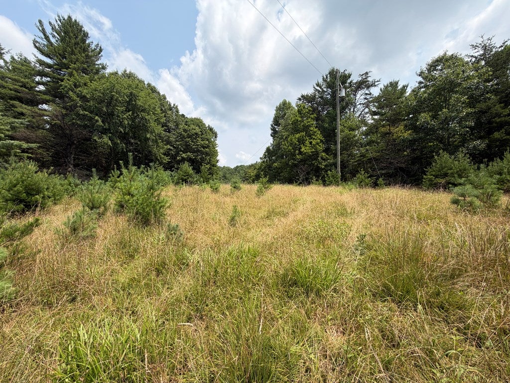 Tbd Hall Hollow Road Austinville, VA 24312 - Photo 15 of 59 Gallery Image 15