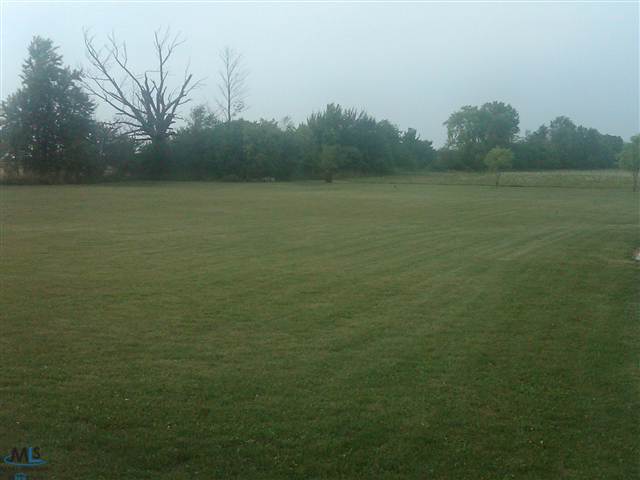 10866 Wilkes Road Yale, MI 48097 - Photo 11 of 14 This is a view of the backyard.