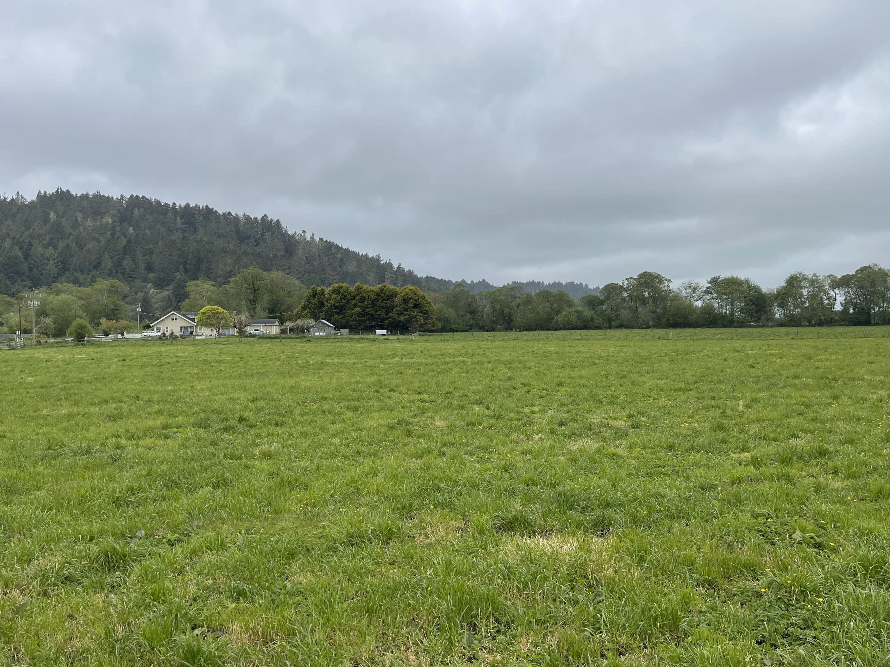 1561 Grizzly Bluff Road Ferndale, CA 95536 - Photo 3 of 7