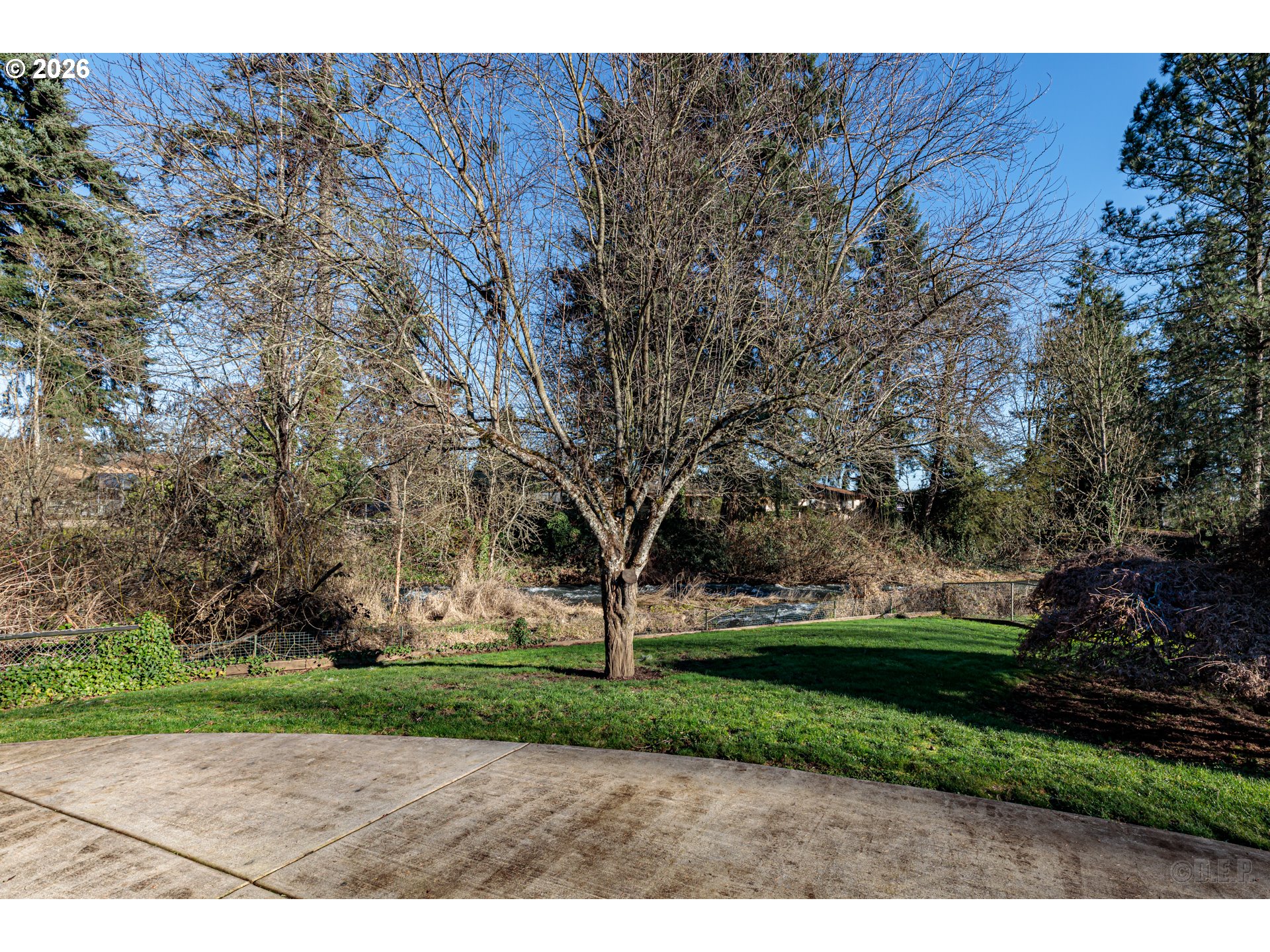 154 Michael Avenue St. Helens, OR 97051 - Photo 23 of 28 a view of park with large trees