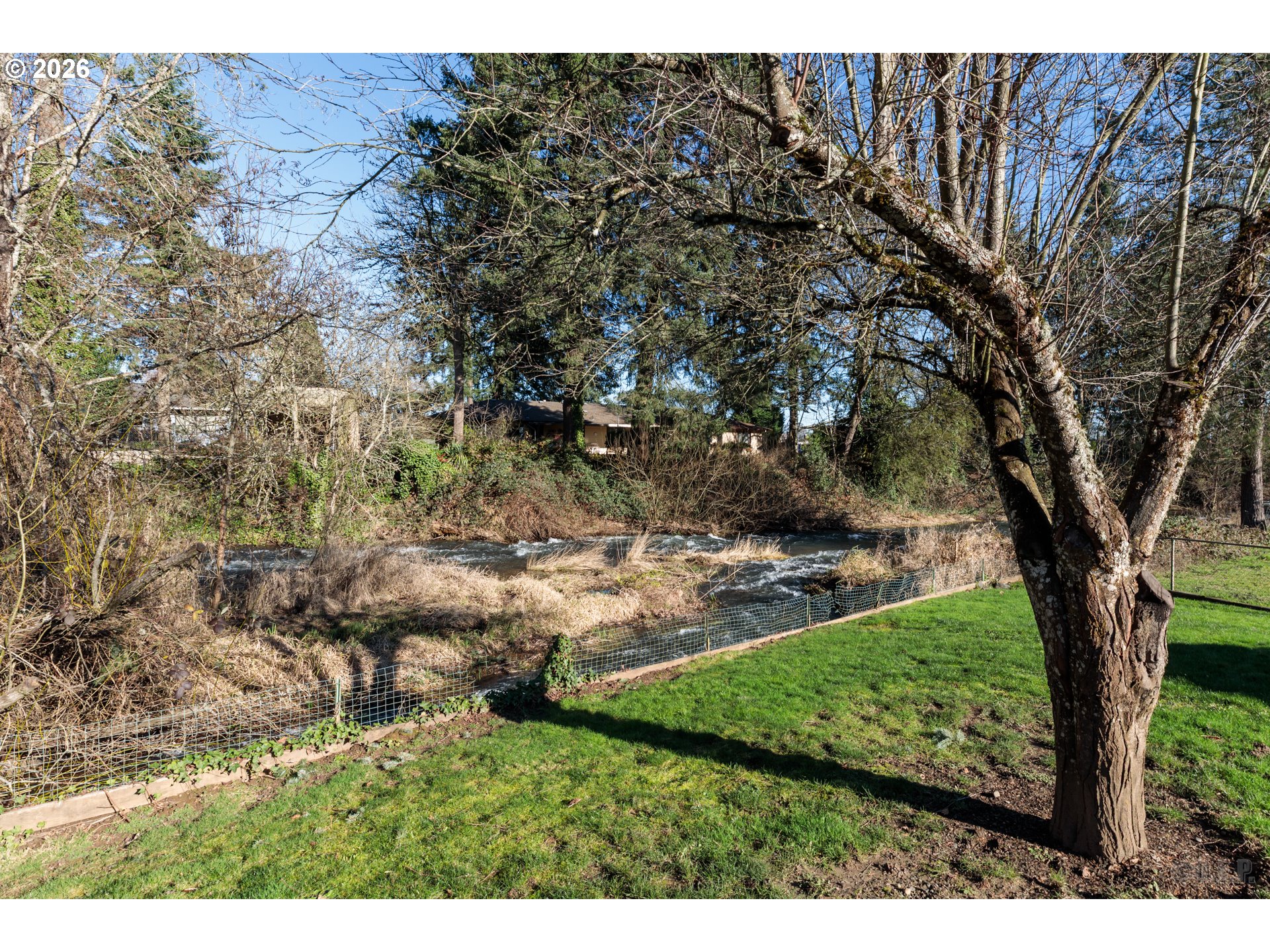 154 Michael Avenue St. Helens, OR 97051 - Photo 25 of 28 a view of yard with large tree