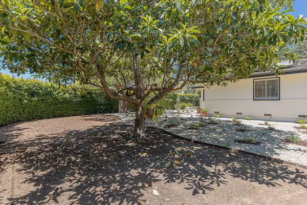 a view of a backyard with large trees