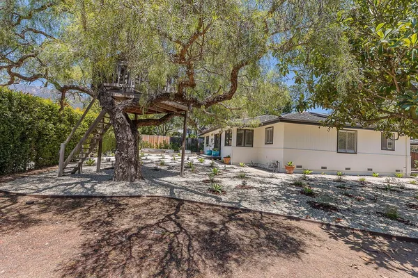 a view of a old house next to a yard with large tree