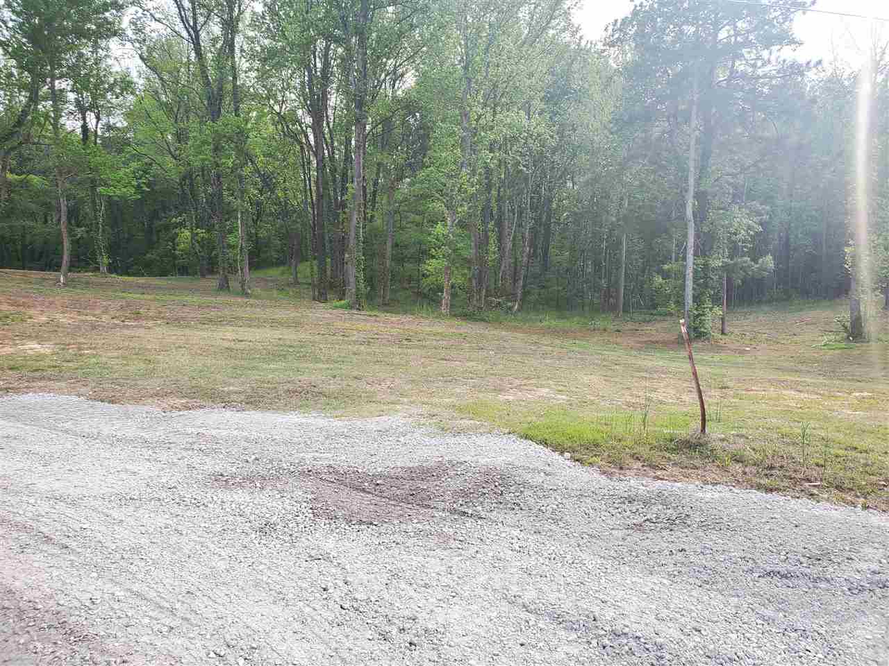 1347 Williams Switch Road Ripley, TN 38063 - Photo 5 of 8