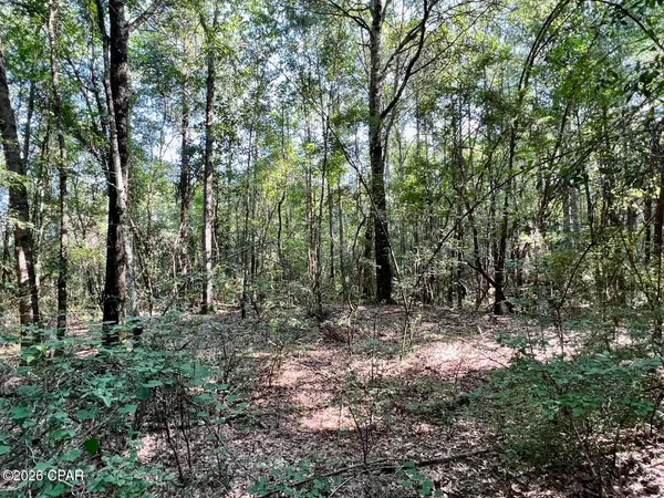 $79,900 | 0 Broom Road, Bonifay, FL 32425