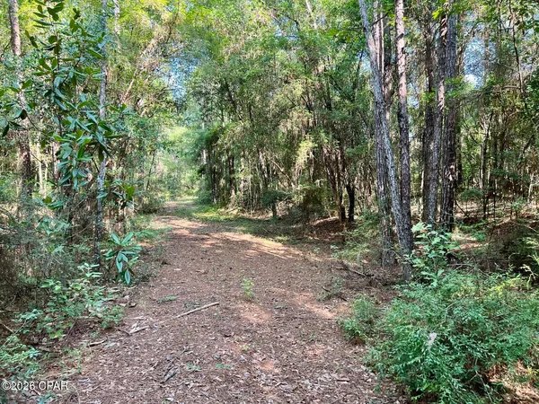 $79,900 | 0 Broom Road, Bonifay, FL 32425