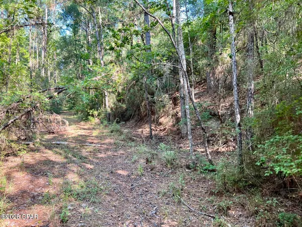 $79,900 | 0 Broom Road, Bonifay, FL 32425